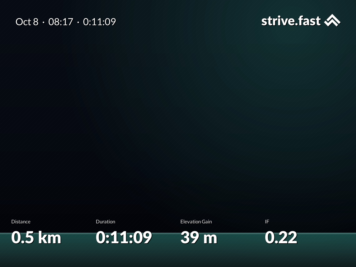 Generated key metrics for Thursday Morning run