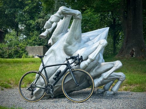 cycling photo 4