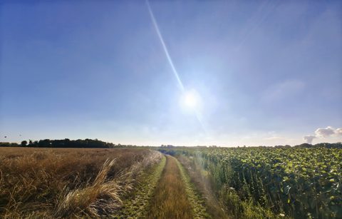 running photo 1