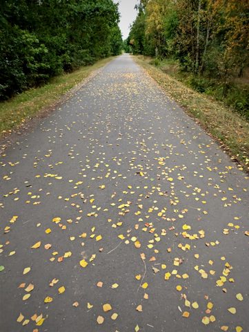 cycling photo 1